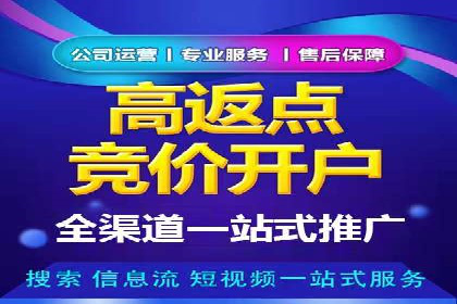 百度推广代运营案例：案例分享：打造行业领军品牌