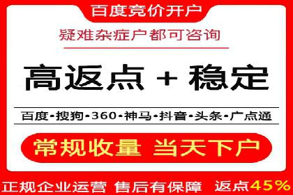 SEM代理助力品牌：案例解析与优化策略